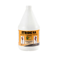 STRIDE HA