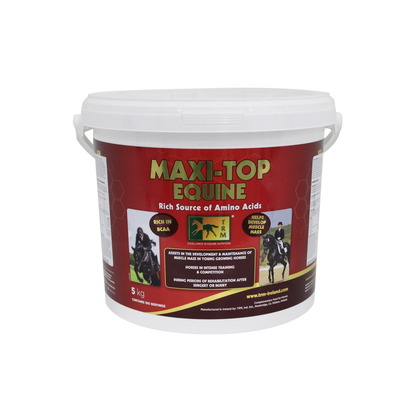 MAXI-TOP EQUINE