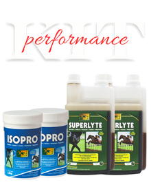 KIT PERFORMANCE