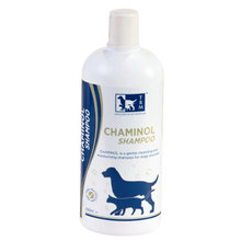 CHAMINOL
