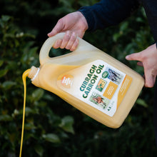 CURRAGH CRRON OIL