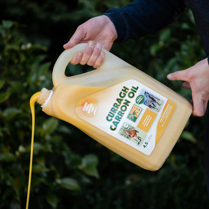 CURRAGH CRRON OIL