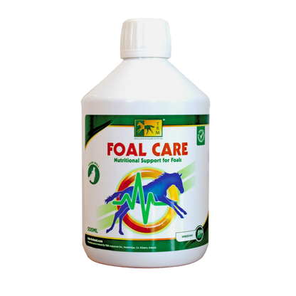 FOAL CARE