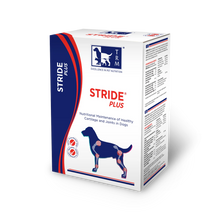 STRIDE PLUS